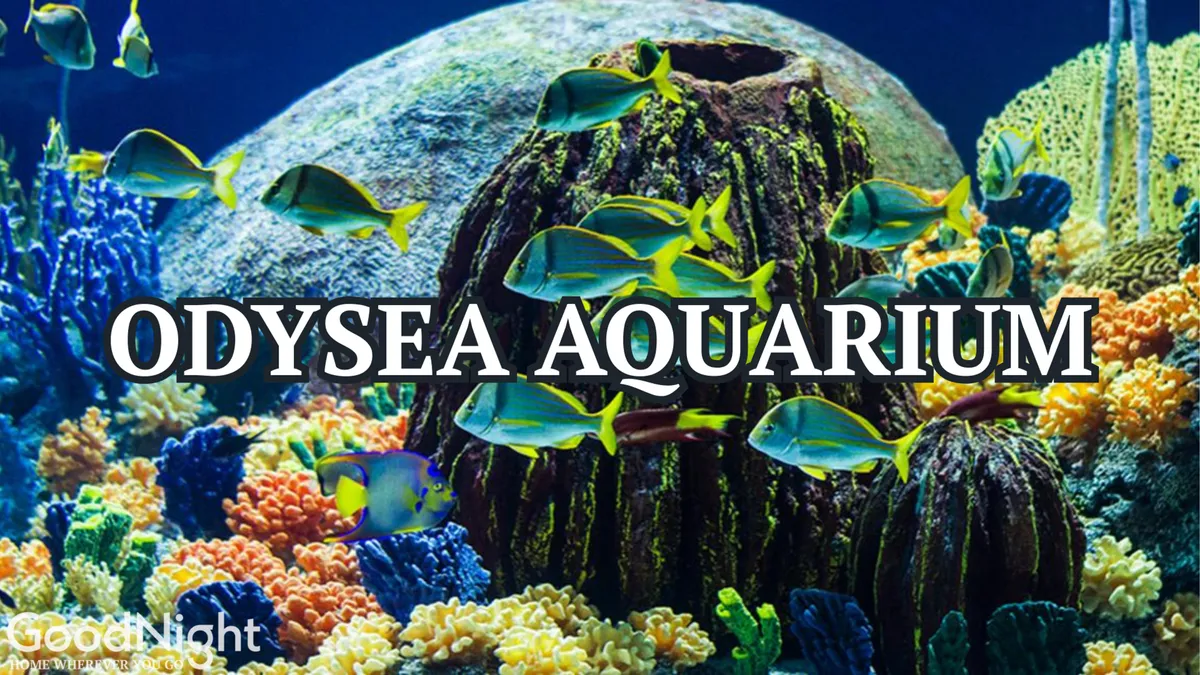 A vibrant interior scene showcasing colorful coral reefs and a diversity of fish in an aquarium setting. The playful, enchanting mood is evident, emphasizing close-up encounters with aquatic life and educational, family-oriented fun.