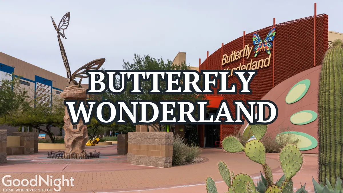 This image features a prominent butterfly sculpture and the Butterfly Wonderland sign, surrounded by well-maintained landscaping with cacti. The scene is playful and inviting, suggesting a family-friendly destination and an opportunity for immersive educational fun.